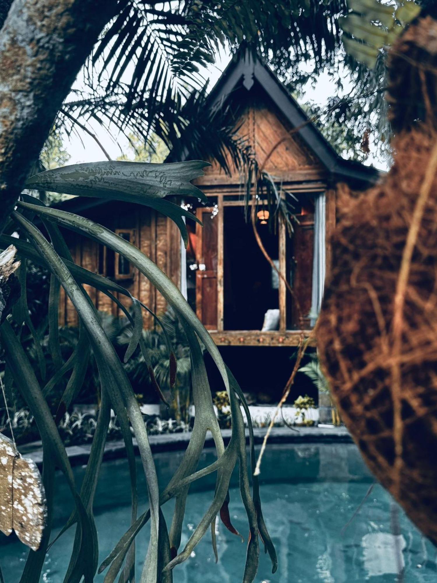Resort Jungleroom Canggu Ngoại thất bức ảnh